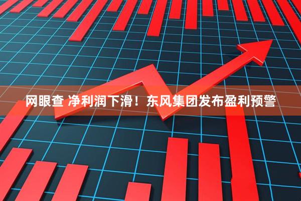网眼查 净利润下滑！东风集团发布盈利预警