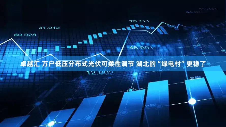 卓越汇 万户低压分布式光伏可柔性调节 湖北的“绿电村”更稳了