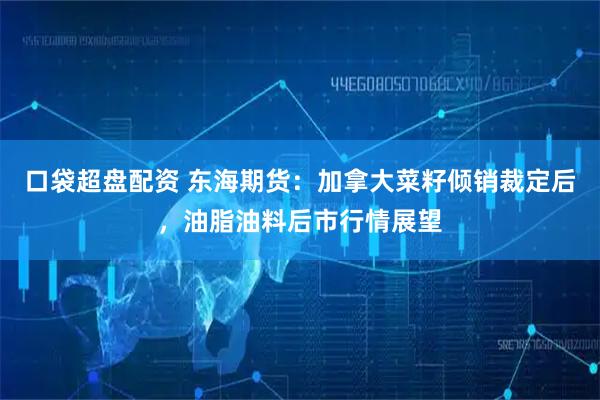 口袋超盘配资 东海期货：加拿大菜籽倾销裁定后，油脂油料后市行情展望