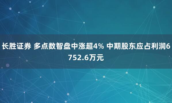 长胜证券 多点数智盘中涨超4% 中期股东应占利润6752.6万元