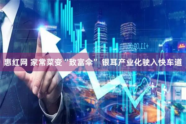 惠红网 家常菜变“致富伞” 银耳产业化驶入快车道