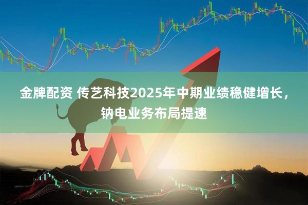 金牌配资 传艺科技2025年中期业绩稳健增长，钠电业务布局提速