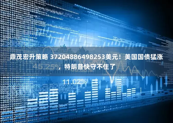 鼎茂宏升策略 37204886498253美元！美国国债猛涨，特朗普快守不住了